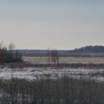 Last look at Crex Meadows. Last look at Crex Meadows.