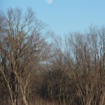 St. Croix moonrise. St. Croix moonrise.
