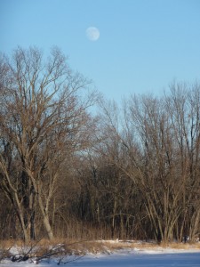 St. Croix moonrise.