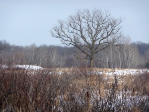 P1030234