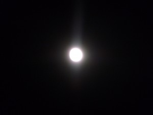The almost full January moon