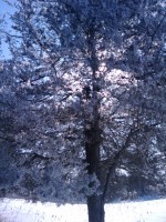 2010-02-13 11.35.54