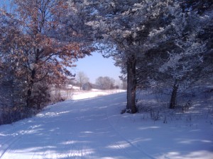 2010-02-13 11.36.03