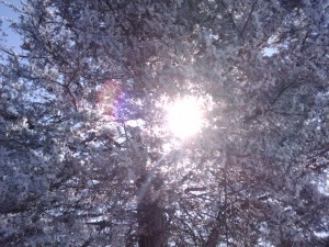2010-02-13 11.36.10