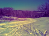 2010-02-13 11.43.31