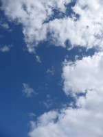 P1030722