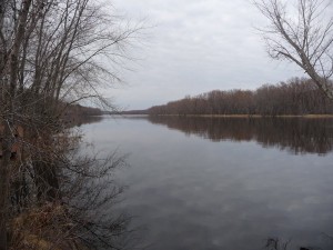 The flooded St. Croix in March looking upstream from William O' Brien State Park The flooded St. Croix in March looking upstream from William O' Brien State Park