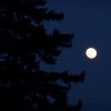 The moon tonight