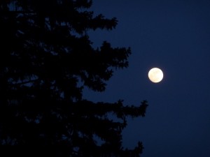 The moon tonight