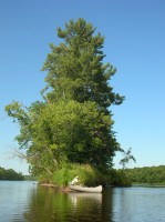 A canoe rests on the shore of a narrow island