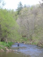 Fishing for trout in western Wisconsin