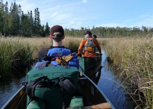 Navigating a bog in the BWCAW