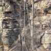 What jerks do in the woods.