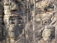 What jerks do in the woods.