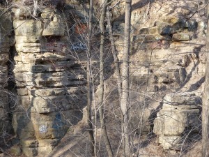What jerks do in the woods.