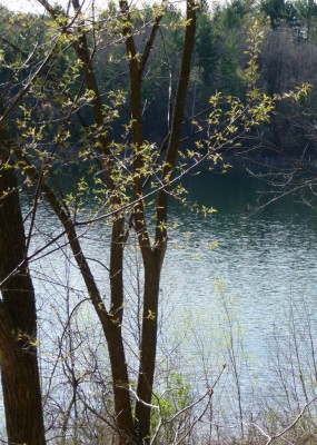 Turquoise water in a Wisconsin lake Turquoise water in a Wisconsin lake
