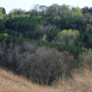 Wooded hillsides Wooded hillsides