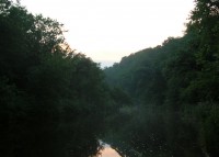 A quiet trout stream at dusk. A quiet trout stream at dusk.