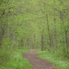 This path was made for walking.