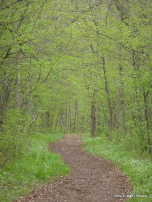 This path was made for walking. This path was made for walking.
