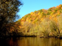 Leaves on the water, color on the trees
