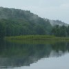 White mist, white pines on the St. Croix River