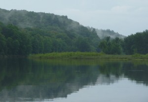 White mist, white pines on the St. Croix River White mist, white pines on the St. Croix River