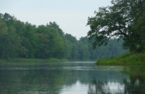 P1060101