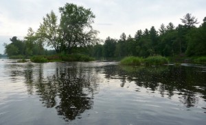 P1060121