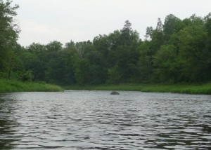 Looking upstream Looking upstream
