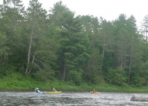 Kayakers Kayakers