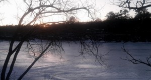 The river in winter