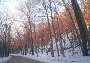 Edge of the light