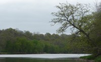 P1040498