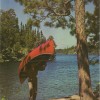 Minnesota Naturalist magazine cover