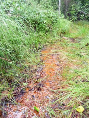 Spruce Road acid mine drainage