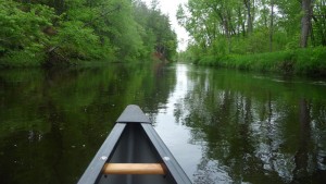 Back channel