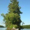 The St. Croix downstream of Grantsburg
