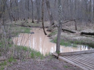 Photo of contaminated stream taken by hiker who reported the issue. Photo of contaminated stream taken by hiker who reported the issue.