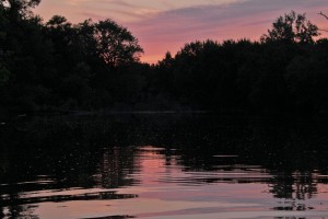 purple-sky