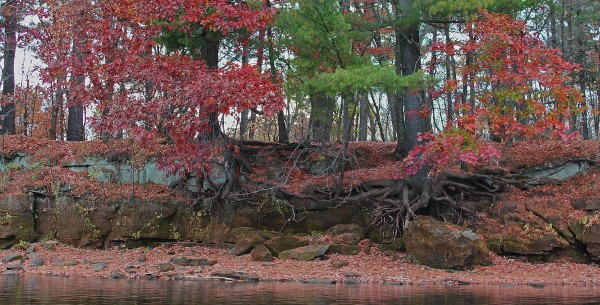 IMG_6647 River banks and color