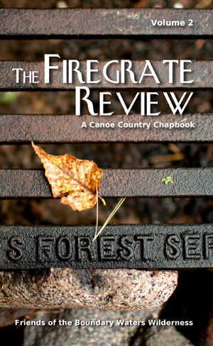Firegrate Review cover Firegrate Review cover
