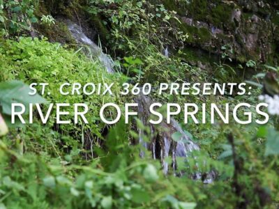 Video: River of Springs