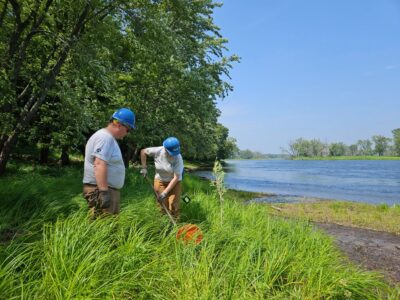 Historic habitat: Old sawmill is site of modern ecological restoration